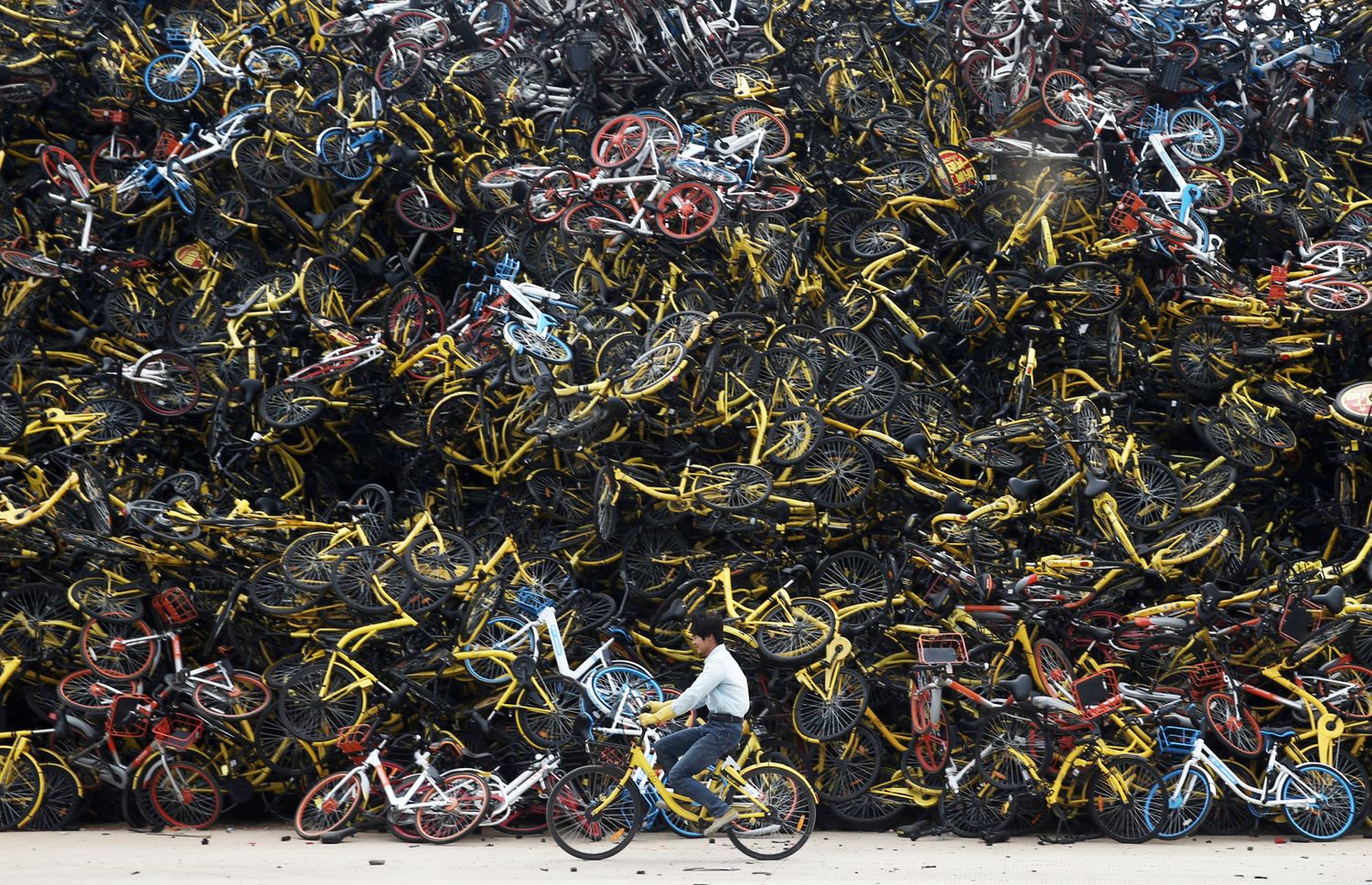 ein Mann fährt mit seinem Velo vor einer gigantischem Berg von Mietvelos durch