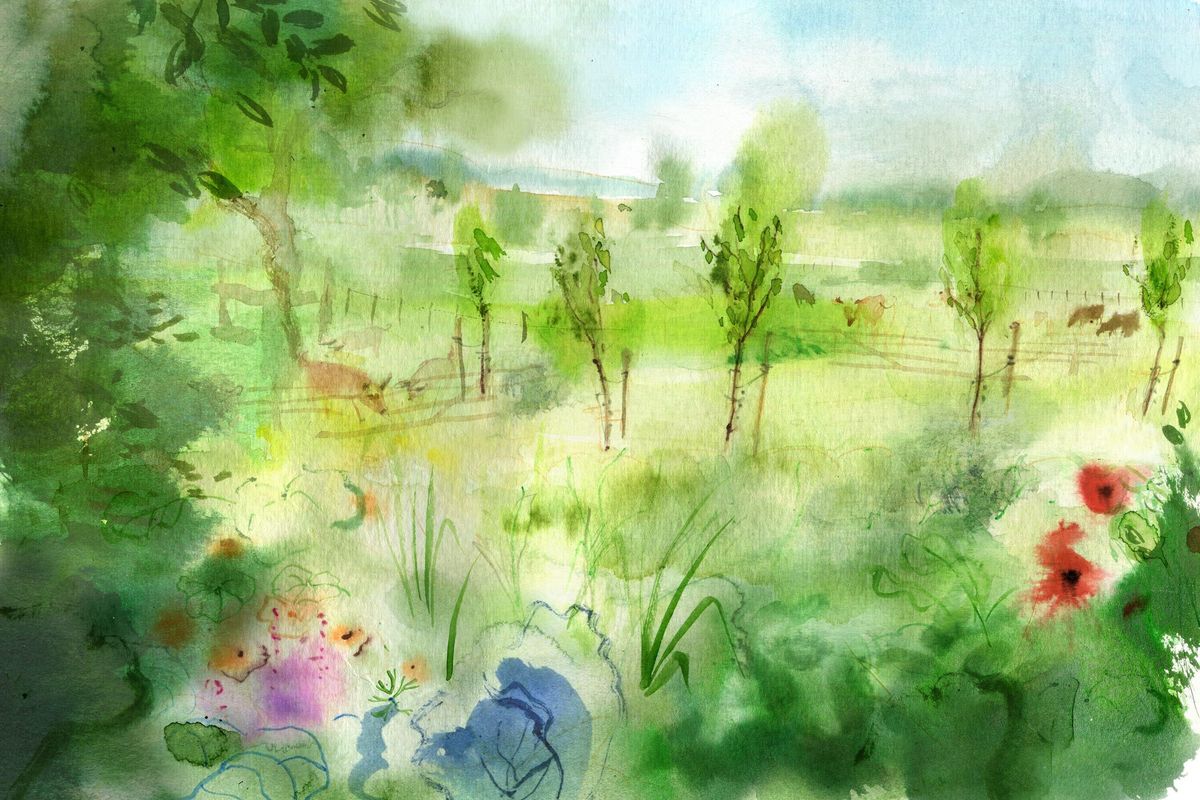 A field full of answers