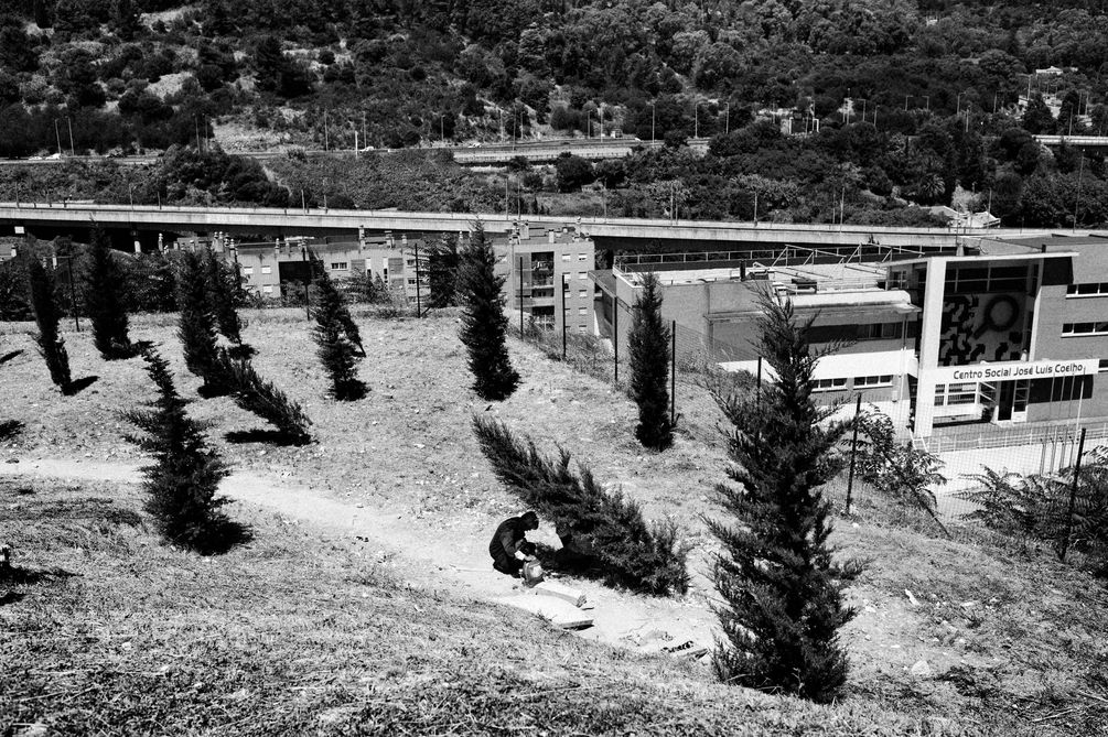 Landschaftsfotografie mit Nadelbäumen in Casal Ventoso. Hinter einem Baum sitzen zwei Drogensüchtige und spritzen Heroin.