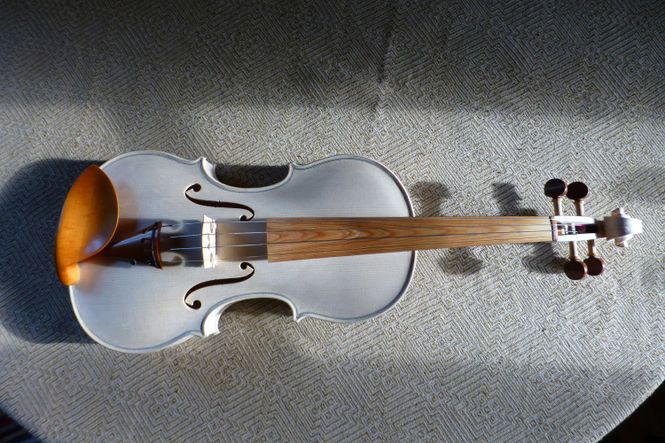Eine noch unlackierte Geige mit einerm Griffbrett aus modifiziertem Schweizer Fichtenholz