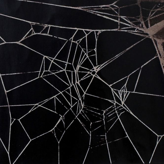 Schlampig gesponnenes Netz einer Spinne auf Koffein.