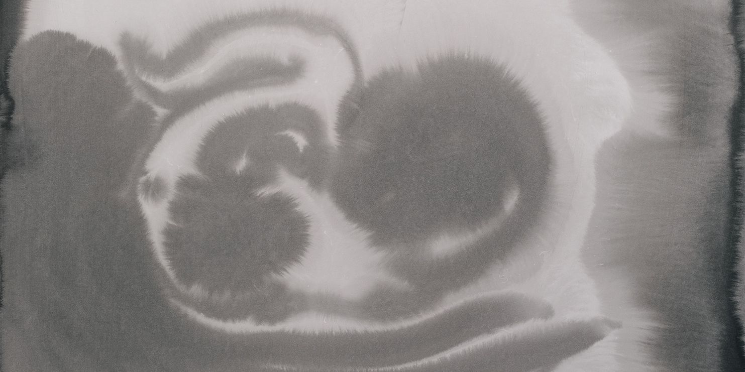 Definition of thesis in english picture