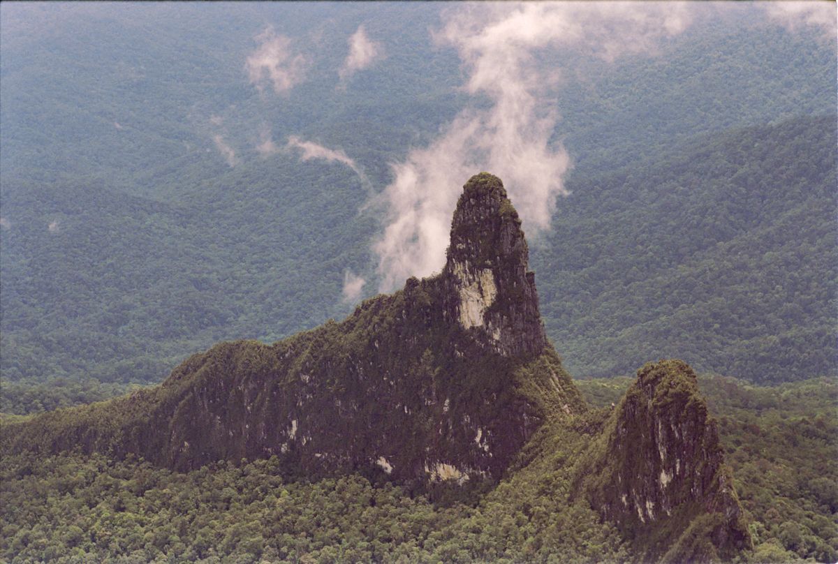 Clan heiress from Borneo goes after Bruno Manser Fund