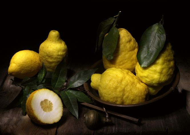 Stillleben von einer Schale mit Zitronen