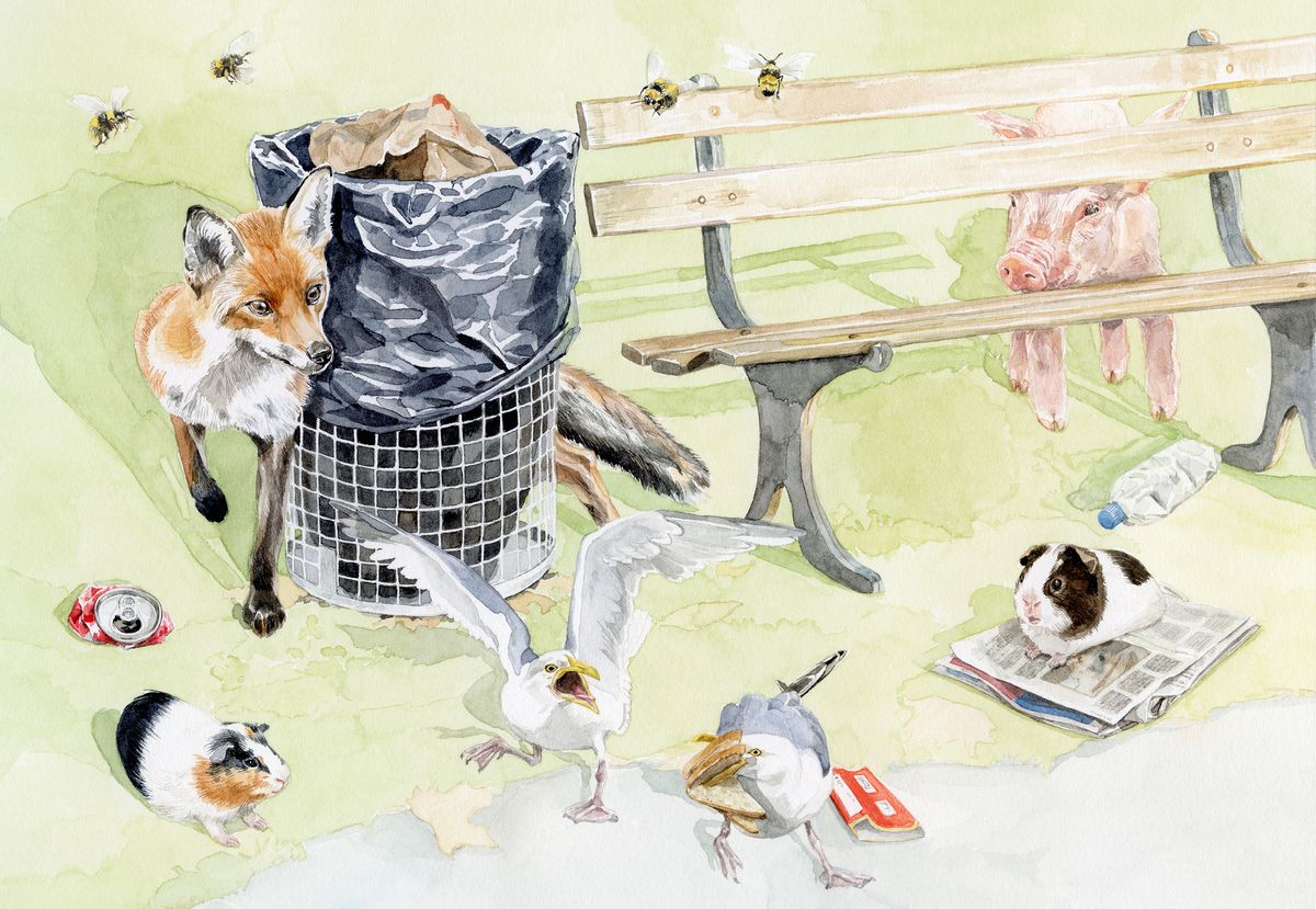 «Manche Tiergeschichten klingen nach Science-Fiction»